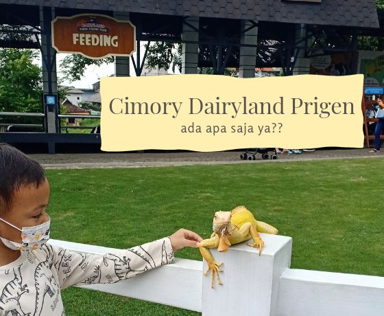 Atraksi Seru Di Cimory Dairyland Prigen Blogger Perempuan Network