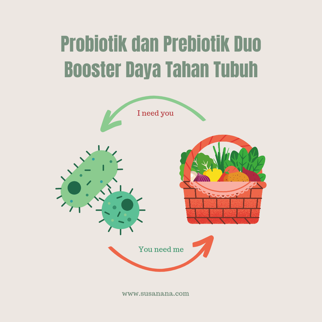 Probiotik Dan Prebiotik Duo Booster Daya Tahan Tubuh. | Blogger ...