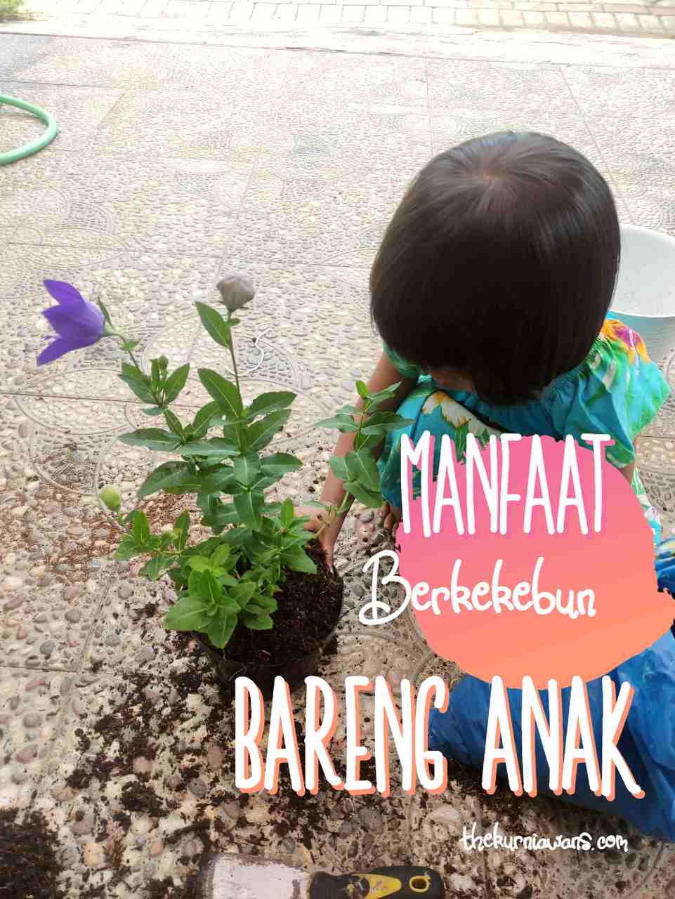 Meningkatkan Konsentrasi, Simak Yuk Manfaat Berkebun Bareng Anak ...