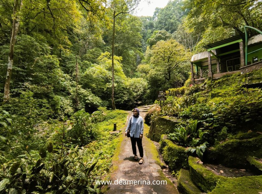 Mampukah Kita Bersama Bergerak Berdaya Menjaga Hutan Demi ...