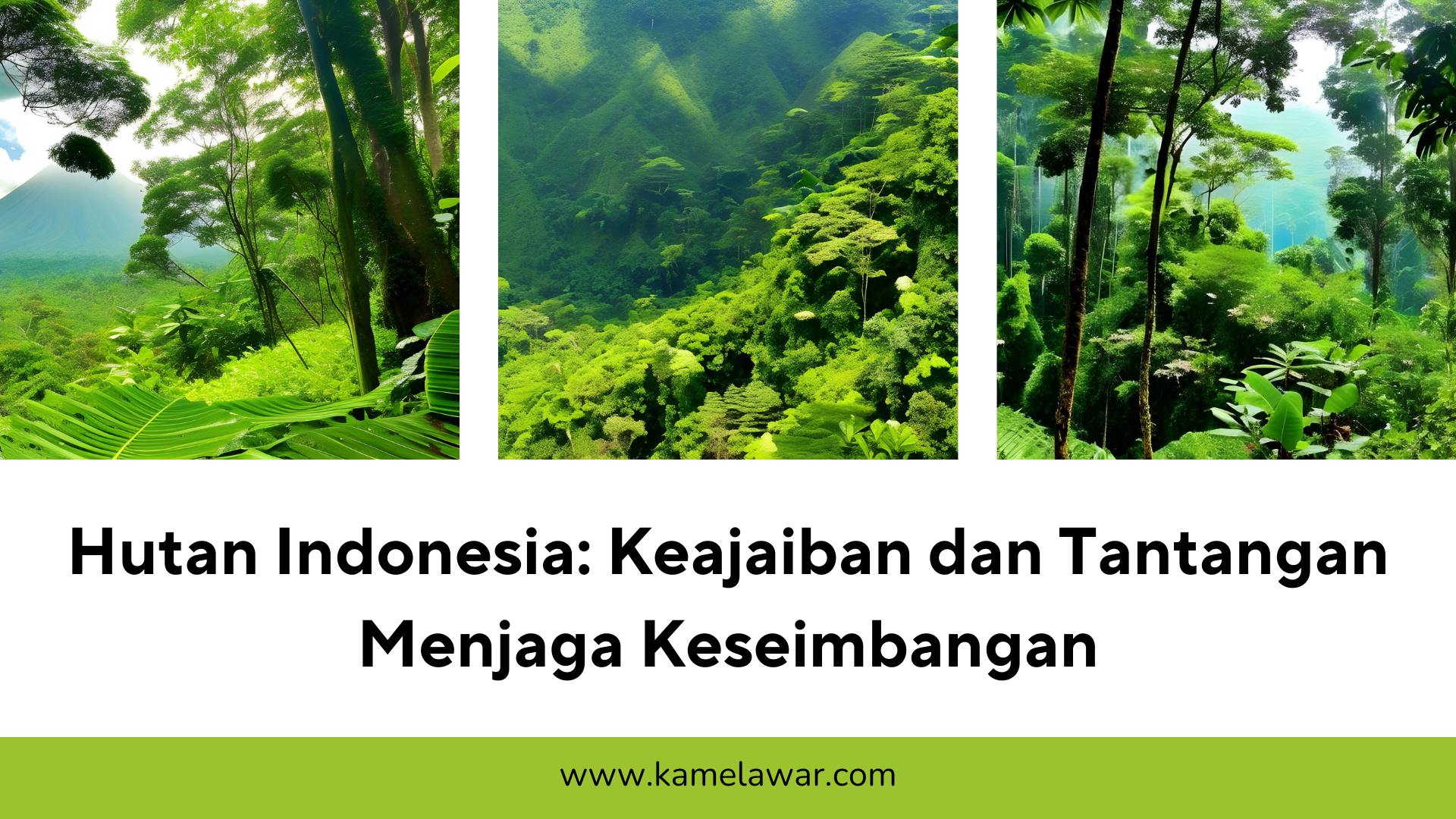 Hutan Indonesia: Keajaiban Dan Tantangan Menjaga Keseimbangan | Blogger ...